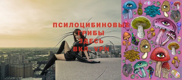 крисы Зеленокумск