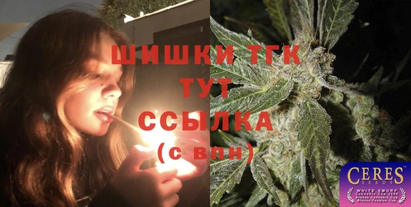 mix Туринск
