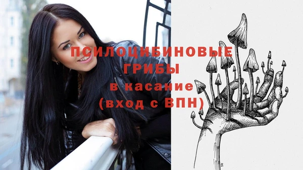 прущая мука Ельня